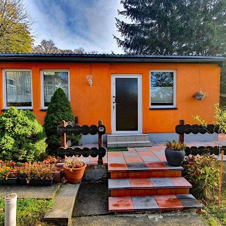 Ferienhaus Petra Elbingerode  Buitenkant foto