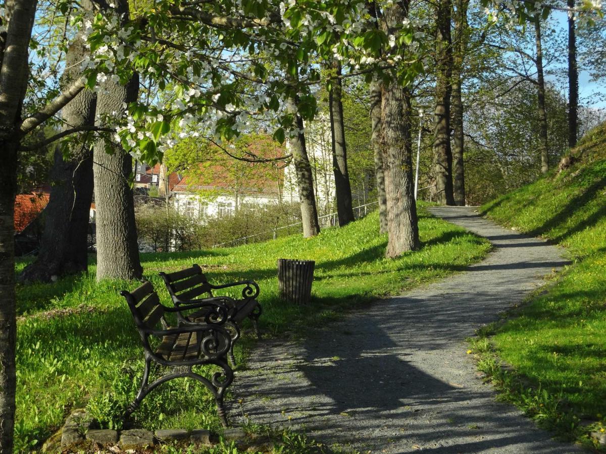 Ferienhaus Petra Elbingerode  Buitenkant foto